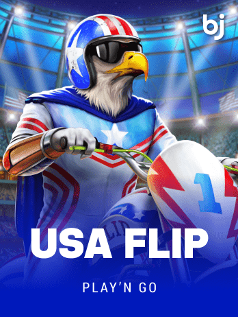 USA Flip game icon